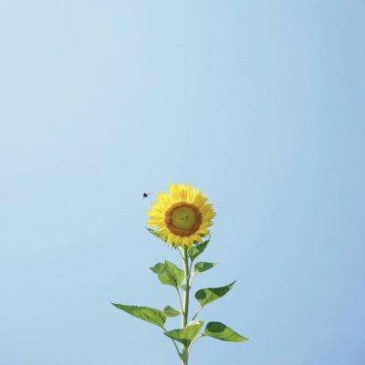 爱游戏·APP手机app下载