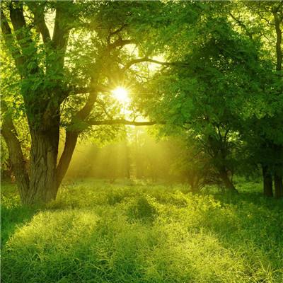 宝威体育官网下载手机版