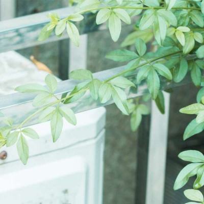 南宫ng28官方网站最新版